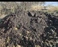 Qara torpağ peyin istənilən yerə sifariş verə bilərsiniz əki