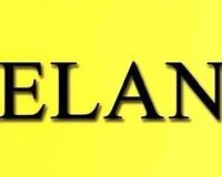 Ali təhsilli gənclər və tələbələr üçün part time fəaliyyət