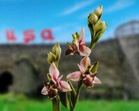 Xankəndi Şuşa Agdam Əsgəran Xocalı turu