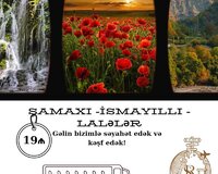İsmayilli-Şamaxi-Lalələr turu
