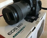 Canon eos 80d 24.2 mp Digital slr Camera