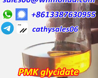 New pmk ethyl glycidate Oil 100% Safe Delivery pmk