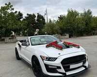 Toymaşını Mustang