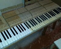 Pianino və royal klavişlərinin yenilənməsi