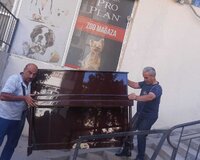 pianinoların daşınması