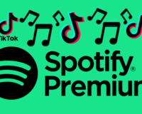 Spotify premium 3 aylıq butov hesab