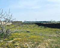 Ləhiş baqları 26cı dalan, 12 sot , Sabunçu rayonu