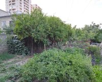 Qaracuxur qes donge 8, 5 sot , Suraxanı rayonu