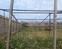 128 sayli orta mekteb yaxiin, 1 otaq , Sabunçu rayonu
