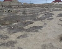 Türkan qəsəbəsi, Türkan bağ massivində yerləşən 52 saylı bağ sahəsi, 5 sot , Xəzər rayonu