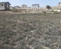 Bakı şəhəri, Pirallahı rayonu, Dübəndi bağ sahəsi, "Dostluq" b/y-nın 07 saylı bağ sahəsi, 5 sot