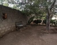 Xanlar Elekberov Kucesi, 3 sot , Suraxanı rayonu