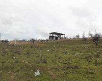 Saray qesebesi yenj mehelle badamliq, 750 sot , Abşeron rayonu