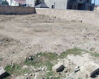 Goradil baglari, 6 sot , Abşeron rayonu