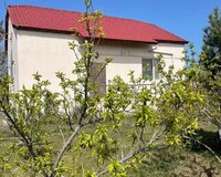 Saray baglari, 3 otaq , Abşeron rayonu
