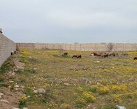 Albali baglar 1, 24 sot , Sabunçu rayonu