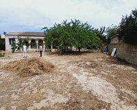 Buzovna vişnovka, Laçın qaya restoranı yaxınlığı, 1 otaq , Xəzər rayonu