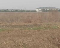 Agcebedi rayonu taxta korpu yaxinligi, 210 sot