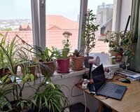 Qesem Aslonov, 3 otaq , Xırdalanda