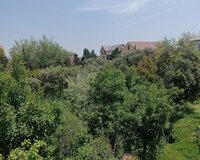 Sumqayit Novxani 41 sot , Sumqayıtda