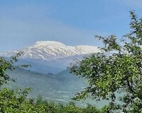 Quba Dəfnə kəndi 83 sot , Qubada