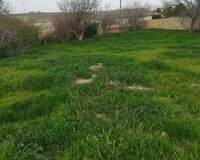 Abşeron rayonu Digah qəsəbəsi, 1 otaq