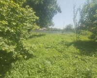 Qəbələ rayonu Bunud kəndi 12 sot , Qəbələdə