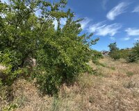 Nardaran qəs Sea Breeze, 3 sot , Sabunçu rayonu
