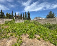 Nardaran qəs sea Breeze, 12 sot , Sabunçu rayonu