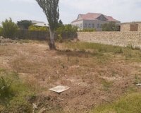 Novxanı bağ massivi 370d, 6 sot , Abşeron rayonu