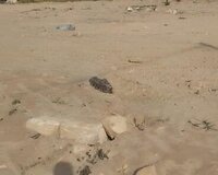Sea Breeze, 42-ci davam, 48 sot , Sabunçu rayonu