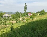 Quba rayonu Zərqava kəndi, 11 sot