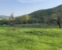 Samaxi ismayili yolun usde, 1600 sot , Şamaxıda