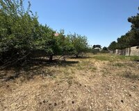 Bilgəh qəsəbəsi, 25 sot , Sabunçu rayonu