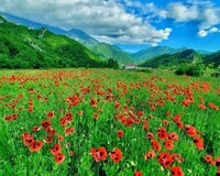 Oğuz rayon Baş Daşağıl kəndi 12 sot , Oğuzda
