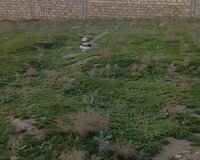 Binəqədi rayonu Mehdiabad qəsəbəsi, 10 sot