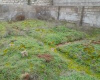 Binə Atçılıq, 3 sot , Xəzər район