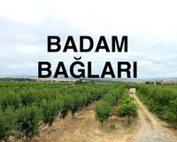 Sabran yolu 6 3 otaq , Şabranda
