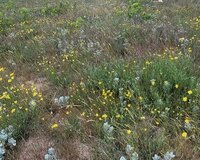 Mashtaga Qesebesi, 12 sot , Sabunçu rayonu