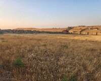 Novxanı Bağlar massifi, Məhəmməd Əsədov küçəsi, 1 otaq , Abşeron rayonu
