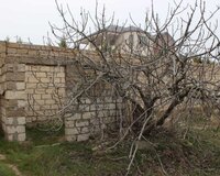 albali baglari 15 sot , Sabunçu rayonu
