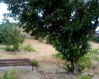 Abşeron rayonu Fatmayı bağları, 1 otaq