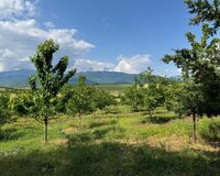 İsmayıllı r. Qoşakənd k 2 otaq , İsmayıllıda