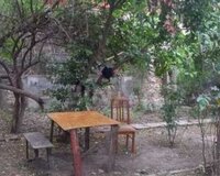 Gənclik metrosunun yaxınlığı, 3 otaq , Nərimanov rayonu