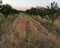 Quba-Bakı yolu üzərində,148 ci km ərazisi 1 otaq , Qubada
