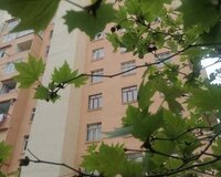 Suraxani rayonu Yeni Gunesli qesebesi Samir Ceferov kucesi, 2 комната