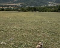 İsmayıllı Basqal, 6 sot