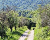 Qusar yolu 5a, 200 sot