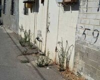 Zerdabi, 3, 2 otaq , Suraxanı rayonu
