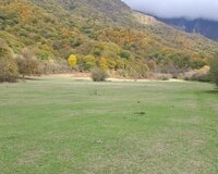 Oğuz rayonu, Baş Daş Ağıl kəndi 2 otaq , Oğuzda